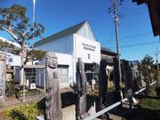 ڂ炳̒ωEH~󎑗ق̓eʐ^1