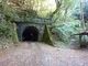 チックさんの天城山隧道の投稿写真1