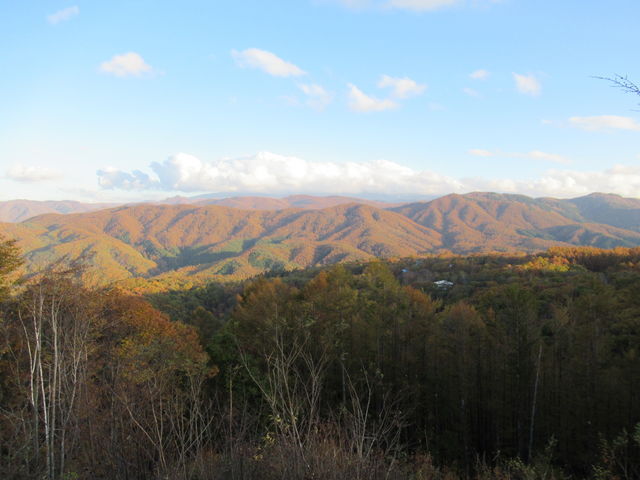 �闖�����W�]�䂩��̌i�F_�闖����