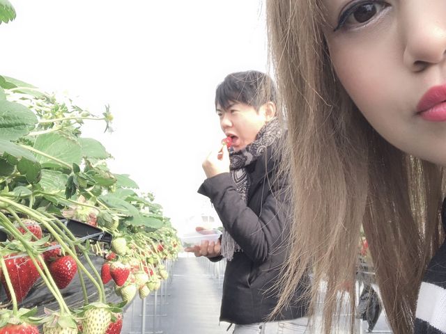 ���N2018��1���ɐ�t���̃C�`�S���ɍs���ė��܂���^_^�����ŏ��߂Đ^�g�̔����m��܂����B_������������