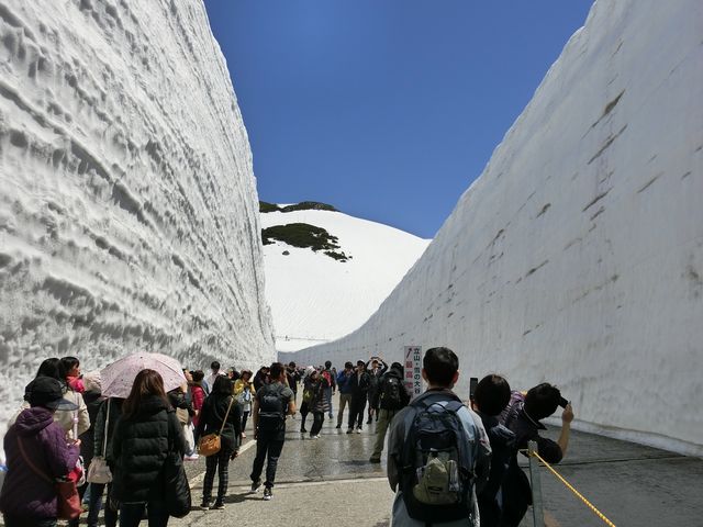 ̑J̍ōn_ł_RAy[gyxRz