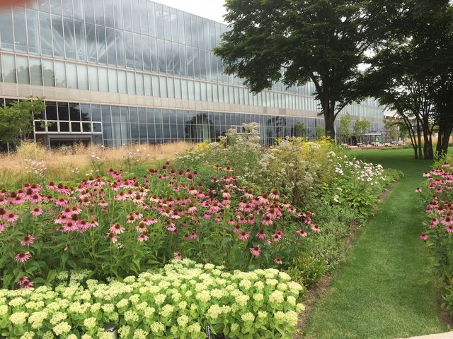 �w���o�b�N��_�k�ʓs�K�[�f��