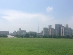 �܂邳��̑哇����������ւ̓��e�ʐ^1