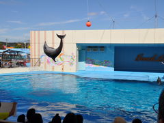 keeeeemakare̓mr[`h&mቤւ̓eʐ^1