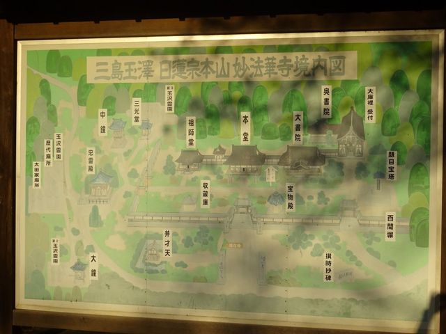 ���V���@�؎�_���V���@�؎�