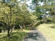 L^J̉ڈΊق̔d̓eʐ^1