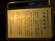 ^񂳂̐zΒnÖƉ̓eʐ^1