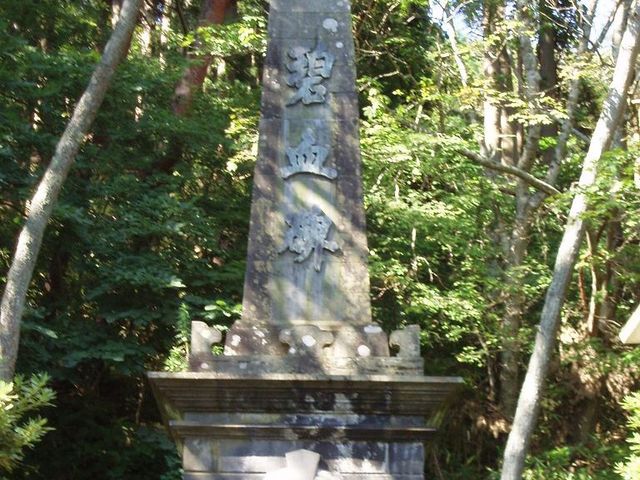 �����ȕ��͋C���Y���܂��B_�Ɍ���