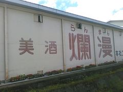 L^J̏Hcijւ̓eʐ^1