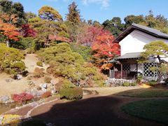 のほほん気分さんの能仁寺庭園の投稿写真1
