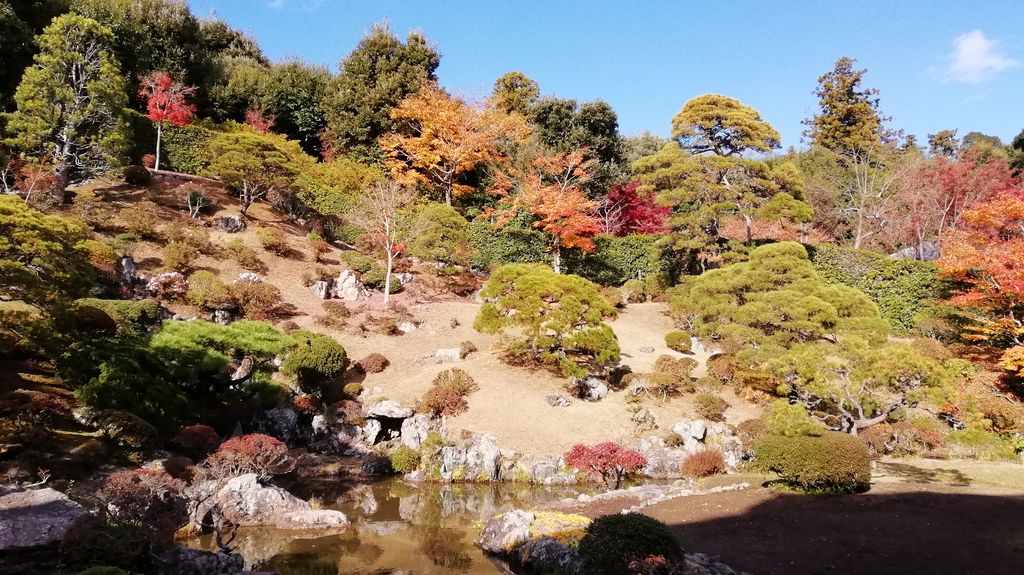 武蔵嵐山駅周辺の公園 庭園ランキングtop10 じゃらんnet