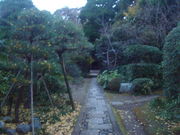 ����񂲂���̏�y���̓��e�ʐ^3