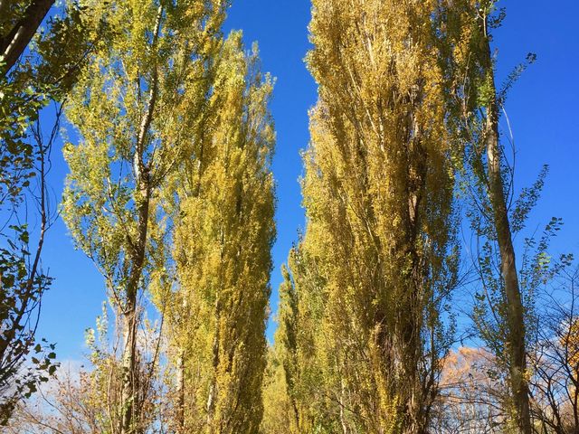 ���ʂ���_�k��|�v������