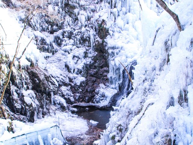 �݂苴��������ƕ|�������ł����A�k�J�̕X���͂ƂĂ��Y��ł����B(^^;_���m���S�i�X��