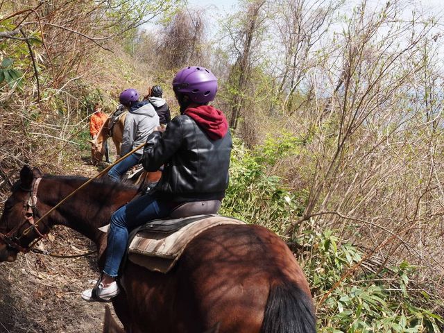 TBڂ̑ÔyɂB_CNg[`