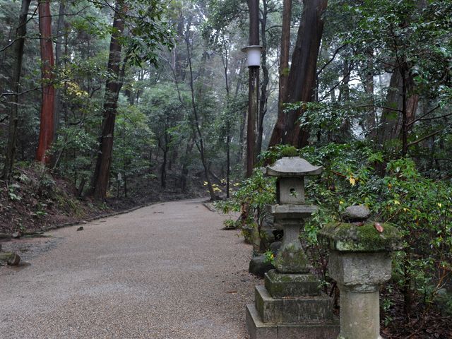 Ώ_{n܂R̕ӂ̓_R̕ӂ̓