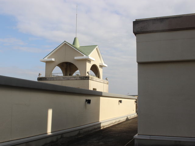 r̉ɂƂĂ悤ȓW]ł_ԊٓW]