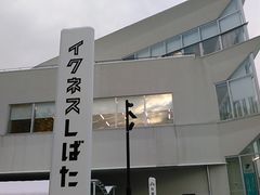 L^J̃CNlX΂ւ̓eʐ^1