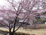 }ReB[̈ɓw܂vU̓eʐ^1