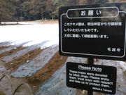 L^J̖щz̉ԏҊ̓eʐ^1