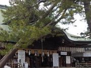 񂿂񂳂̔R_Ђ̓eʐ^1