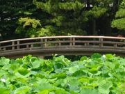 傱̔R_Ёi쌧ؑ]j̓eʐ^1