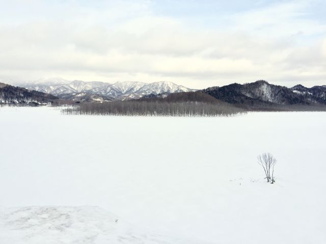 �Y��Ȍi�F_�V���[�p����