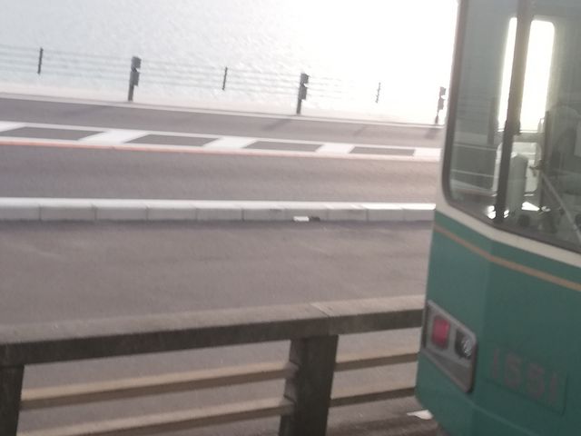 �B�e�X�|�b�g_�]�m���d�S ���q���Z�O�w