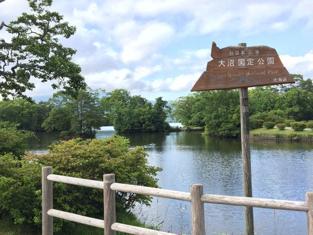 ������t��_���a�F�O����