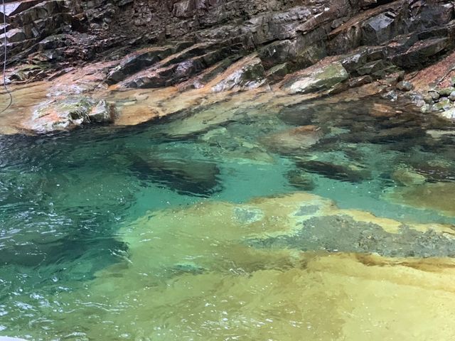 ���̃u���[�A�ӂƂ݂�����̂ł��B_�ʉ͌k