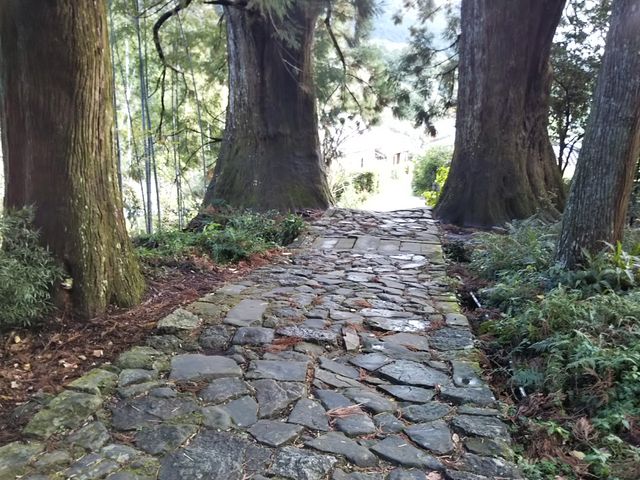 �Ώ�Ɛ����������d���ȕ��͋C_�F��Ó��@����