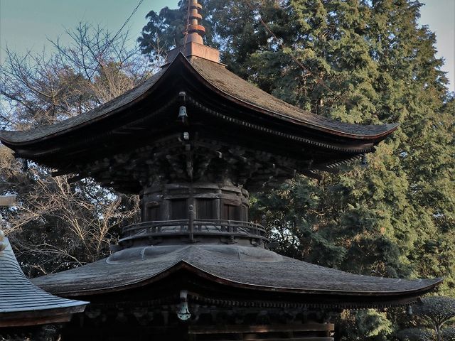 Yanwenli����̉ԉ������{�̓��e�ʐ^5