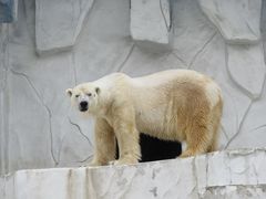 東山動植物園の写真一覧 4ページ目 じゃらんnet