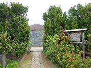 �Ðh�F����̏�]�F�Ƃ̓��e�ʐ^2