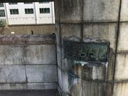 �q���V����̏�Ջ���Ղ̓��e�ʐ^1