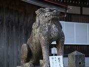 Yanwenli����̉ԉ������{�̓��e�ʐ^7