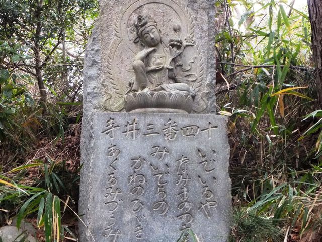 �\�l�ԗ��O�䎛�B�D���Ȕ@�ӗ֊ω����̎p�������ɕ`����Ă��܂��B_������i�����O�\�O�ӏ��ω��T�u���j