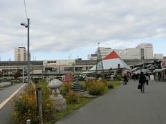 ɂǂ񂳂̉Fs{sόēւ̓eʐ^1