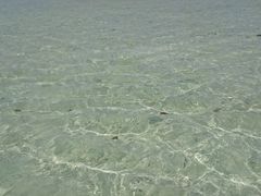 komũRhCr[`ւ̓eʐ^1