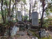 ڂ炳̏iO\OӏωTuj̓eʐ^7