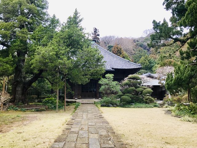 【寿福寺】門から眺めた本堂_寿福寺