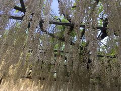 ف[񂳂̙֑ɗ̓ւ̓eʐ^1