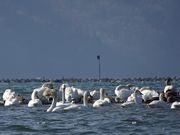 񂸂̓̉w Ζk݂ǂXe[V̓eʐ^3