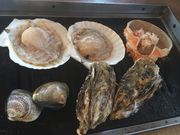 ف[񂳂̕lĂ񂿂̓eʐ^1