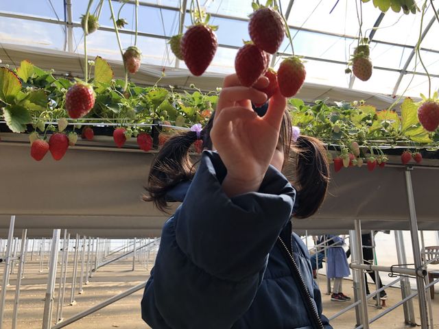 5�΂̖���1�l�Ŋ��ŐH�ׂĂ��܂���_���͂�_��