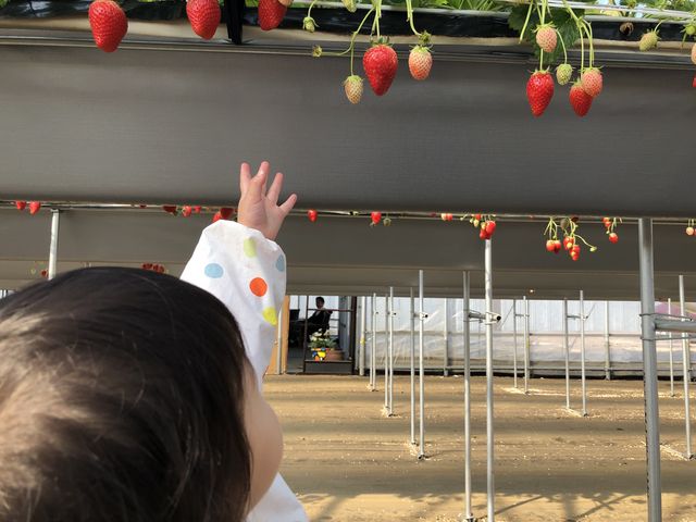 2�΂̖����A�R���R���Ƃ��˂���B_���͂�_��