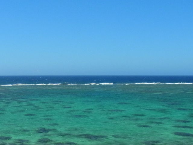 �C�̐F���Y��_���ԕl