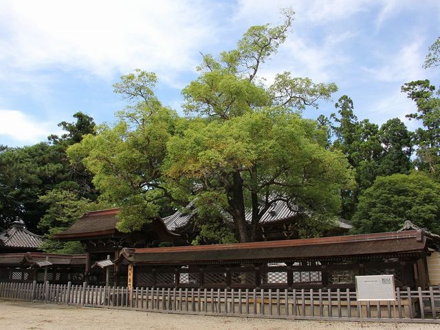 ��_�q���B_���c�{�R��C��