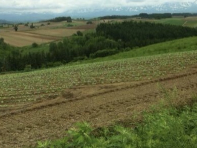 �Y��I_�V�h�̋u�W�]����