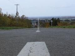 ݂񂳂̒mΗ Vɑւ̓eʐ^1